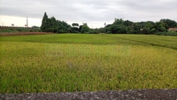 田中鎮待售房屋