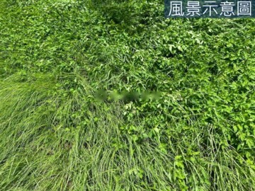 樂屋_竹東鎮待售房屋 竹東鎮待售房屋