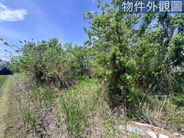竹南鎮待售房屋
