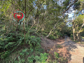 三峽區待售房屋