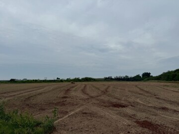 鹽水區待售房屋
