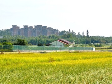 民雄鄉待售房屋