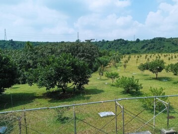 內埔鄉待售房屋