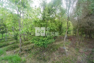 中埔鄉待售房屋