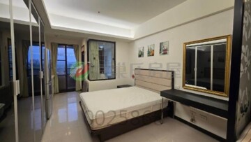 摩納哥待售房屋