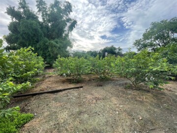 埤頭鄉待售房屋