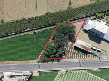 北港鎮待售房屋