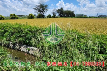芳苑鄉待售房屋