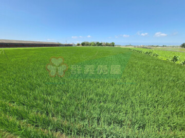 大城鄉待售房屋