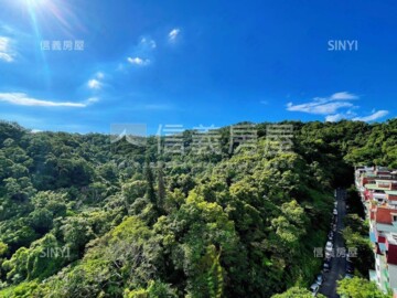 南方藝術宮殿待售房屋