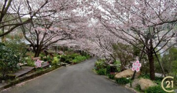 樂屋_士林區待售房屋 士林區待售房屋