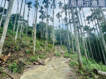 樂屋_魚池鄉待售房屋 魚池鄉待售房屋