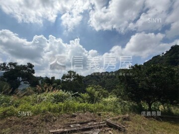 國姓土地誠意出租 - Image 1