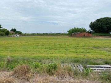 嘉義東石三面臨路村莊旁漂亮農地~AN