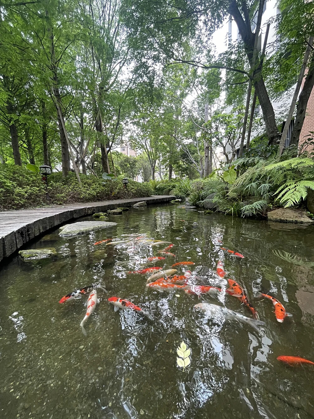 樂屋_台中市北屯區大毅讚幸福待售房屋 台中市北屯區大毅讚幸福待售房屋