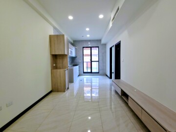 頂鋒龍山水精華待售房屋