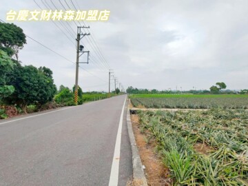 中埔鄉待售房屋