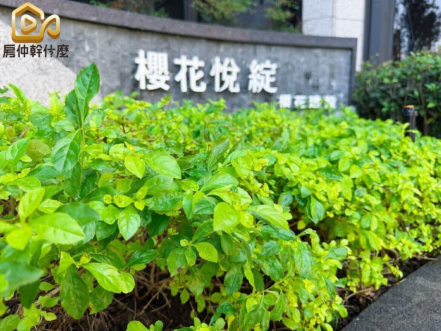 √小茵首選㊣高鐵特區全新大三房平車朝南無敵邊間