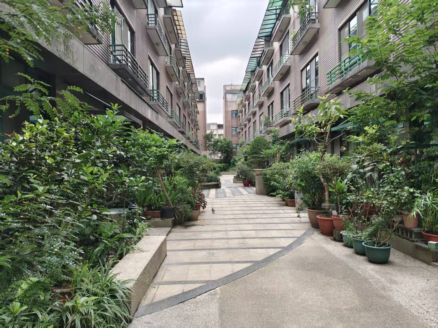 捷運【榮耀之星】大別墅