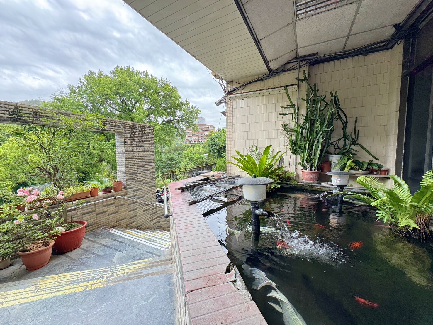 樂屋_台北市北投區泉之鄉待售房屋 台北市北投區泉之鄉待售房屋