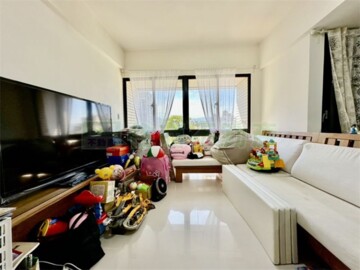 敦南觀止待售房屋