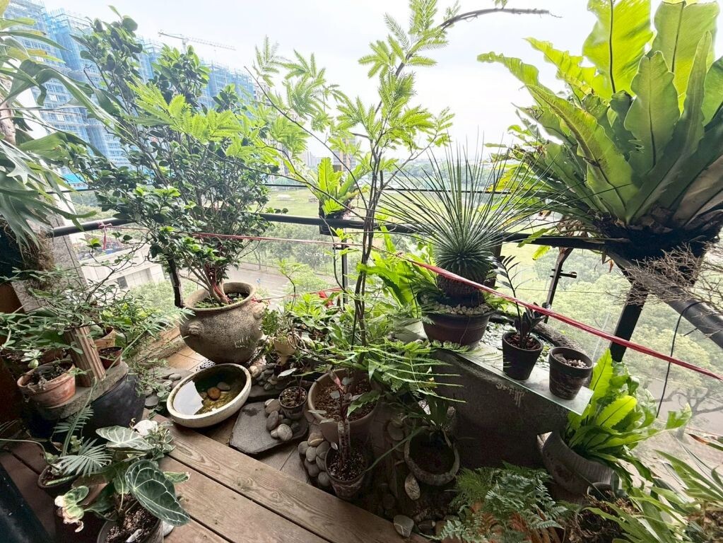 桃園市中壢區捷寶雲品/目木本待售房屋