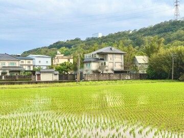 【市區假日農夫】金龍路大面寬方正農地