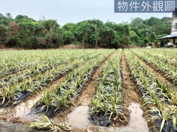 樂屋_大樹區待售房屋 大樹區待售房屋