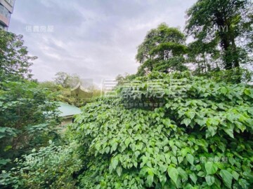 樂屋_深坑區待售房屋 深坑區待售房屋
