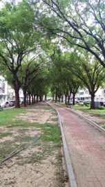 樂屋_長億城香榭區綠茵區待售房屋 長億城香榭區綠茵區待售房屋
