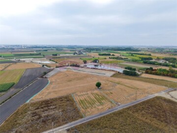 莿桐鄉待售房屋