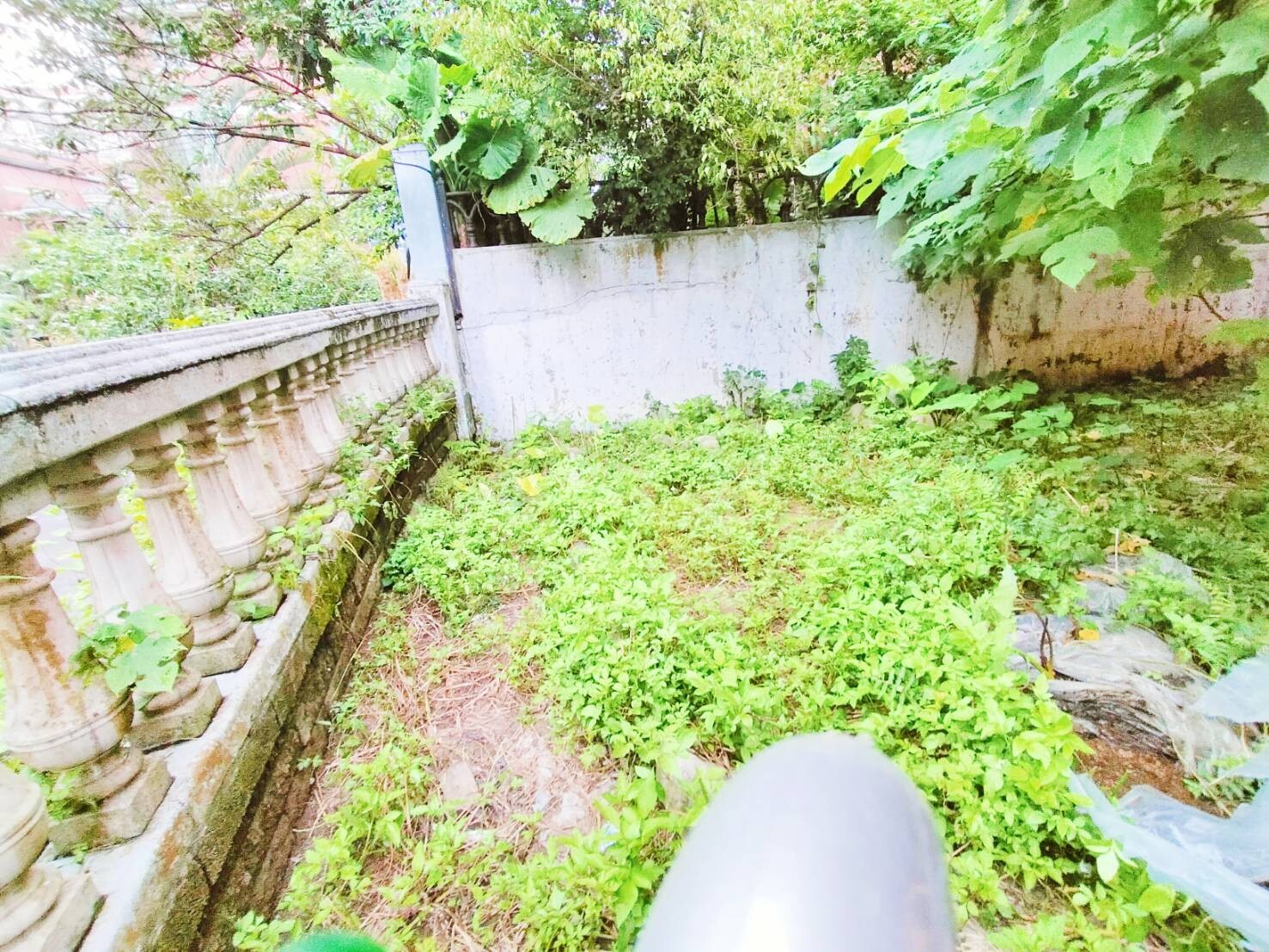樂屋_新北市新店區綠野香坡彩蝶別墅C待售房屋 新北市新店區綠野香坡彩蝶別墅C待售房屋