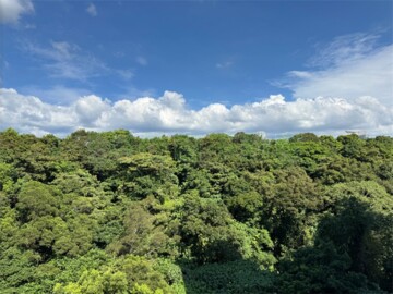 樂屋_淡江柏園2待售房屋 淡江柏園2待售房屋
