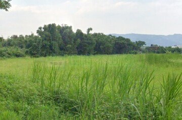 樹林區待售房屋