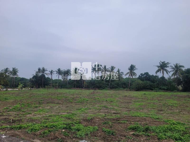 善化國中旁1483坪農地(租)