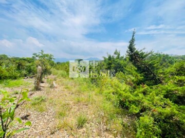 淡水區待售房屋