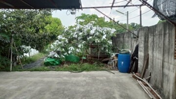 樂屋_北港鎮待售房屋 北港鎮待售房屋
