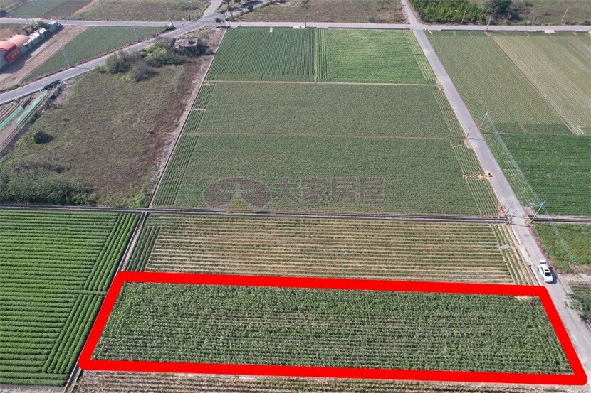 東勢程海村2分農地