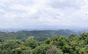 樂屋_綠野香坡彩蝶別墅A待售房屋 綠野香坡彩蝶別墅A待售房屋