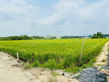 官田區待售房屋