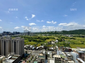 樂屋_遠雄鉑悅/當代匯待售房屋 遠雄鉑悅/當代匯待售房屋