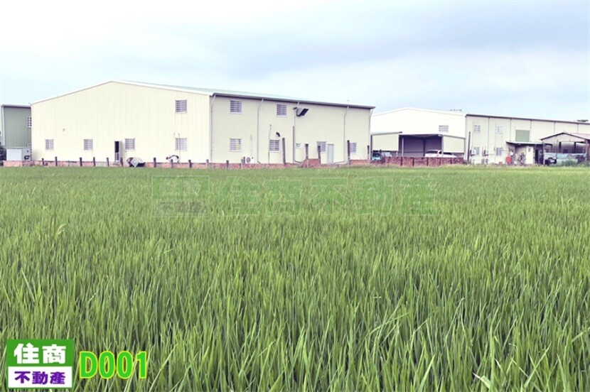 歸仁機場超低價農地