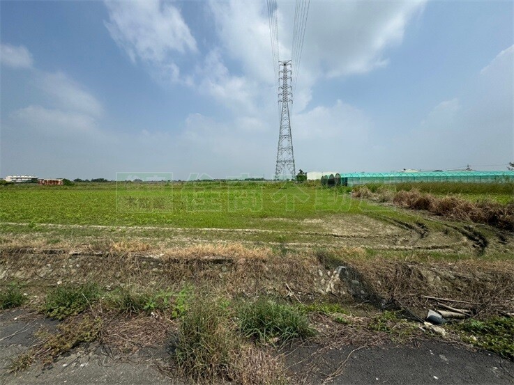 鹽水大埔美農地(2)