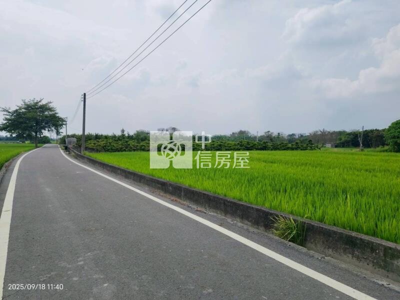 埔心羅厝路旁方正美田