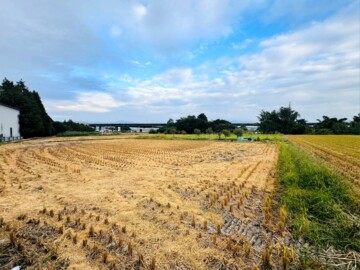 大里區待售房屋