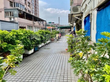 杜拜 The Palm Island待售房屋
