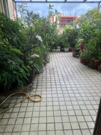 溪州鄉待售房屋