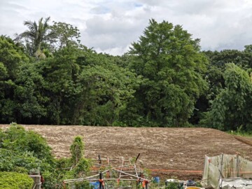 竹東鎮待售房屋