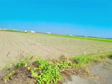 鹽水區待售房屋