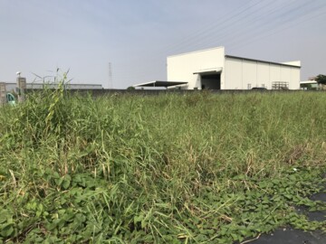 樂屋_岡山區待售房屋 岡山區待售房屋